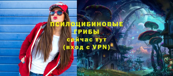 твердый Елабуга