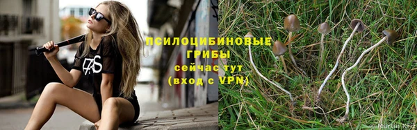 амфетамин Елизово