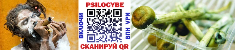 Купить где  Топки  Галлюциногенные грибы мицелий 